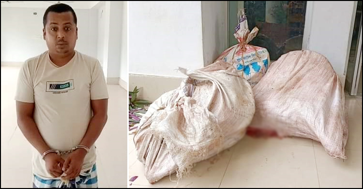 ব্রাহ্মণবাড়িয়ায় কোরবানির গরু চুরি করে জবাই, যুবক গ্রেফতার