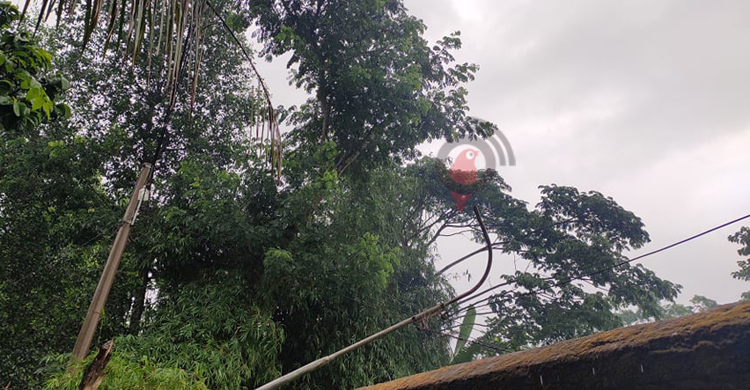 ঘূর্ণিঝড় অশনির প্রভাবে বরগুনায় বৃষ্টি