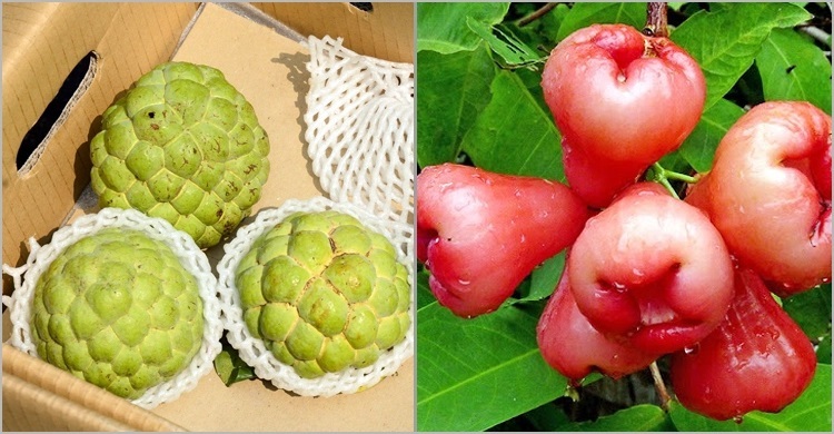 Taiwan threatens to take China to WTO in new spat over fruit