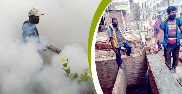 মশা নিধনে সমন্বিত অভিযান ৮ মার্চ থেকে