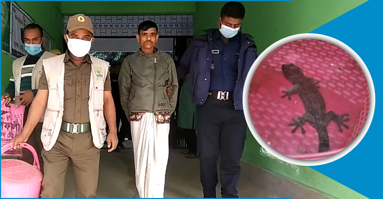 নড়াইলে বিরল প্রজাতির তক্ষক উদ্ধার