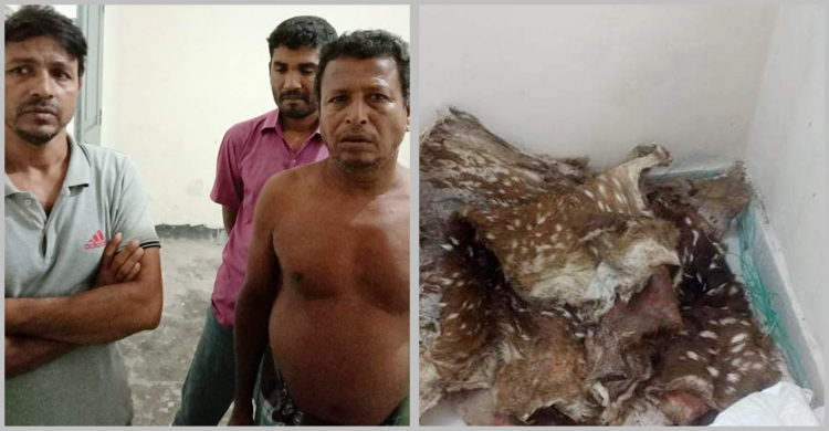 বরিশালে হরিণের মাংস ও চামড়াসহ আটক ৪