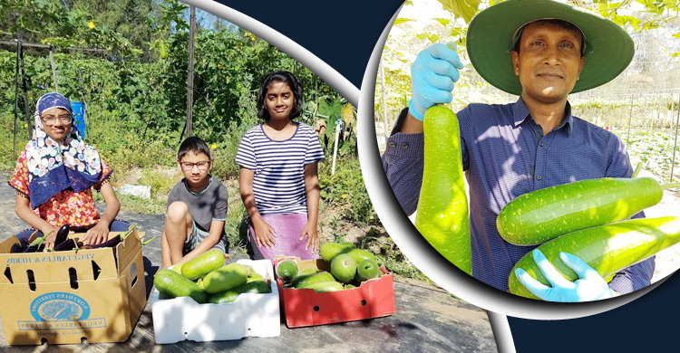 রামিন’স ফার্ম : সিডনির বুকে একখণ্ড বাংলাদেশ