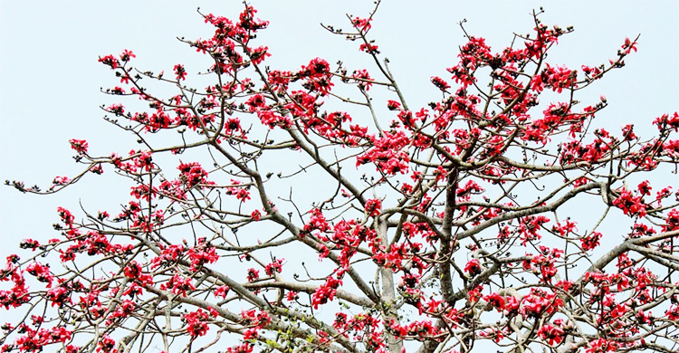 আবহাওয়ার খবর: ১৬ ফেব্রুয়ারি ২০২৩
