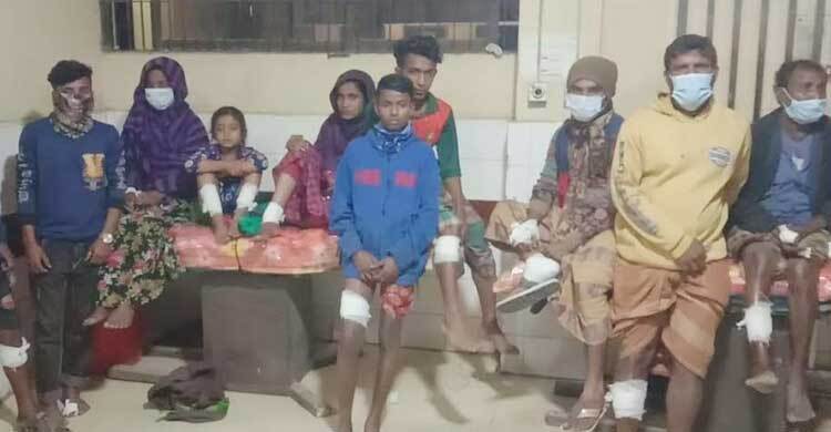 ব্রাহ্মণবাড়িয়ায় শিয়ালের কামড়ে আহত অর্ধশত