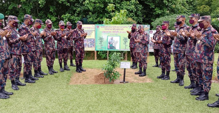 খাগড়াছড়িতে বিজিবির বৃক্ষরোপণ