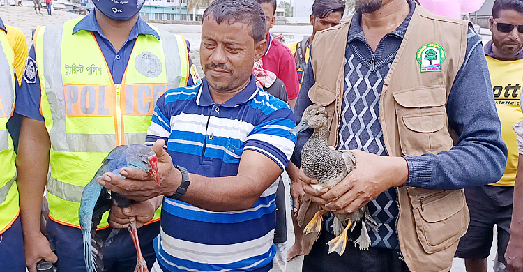 মুক্ত আকাশে ফিরে গেলো ৭ পাখি