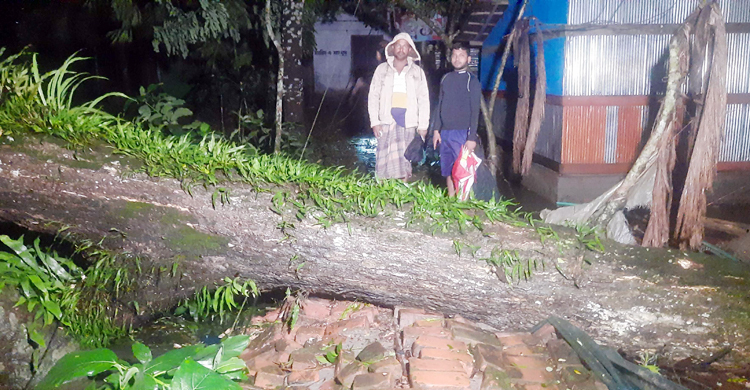 সিত্রাংয়ের তাণ্ডবে বাগেরহাটে ২ হাজার ঘরবাড়ি ক্ষতিগ্রস্ত