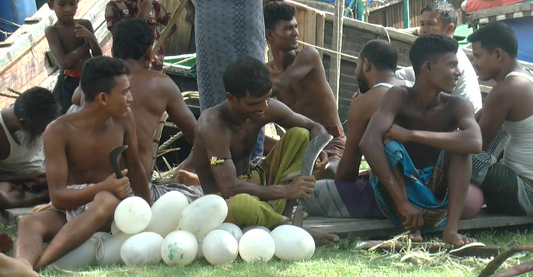 জোটেনি কোরবানির মাংস, ডাল-সবজিতেই ভরসা জেলে পরিবারের