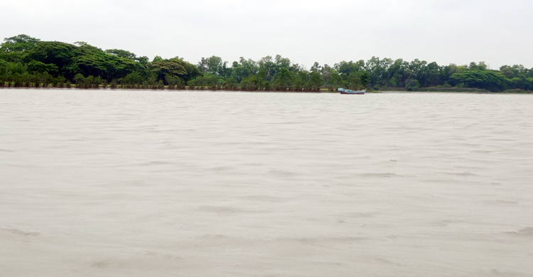 নদীতে ভাসছিল নবজাতকের মরদেহ