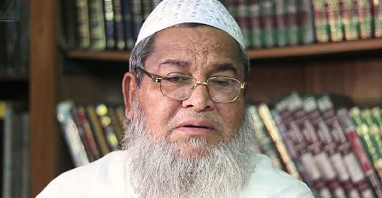 আমরা সরকারবিরোধী নই : হেফাজত আমির