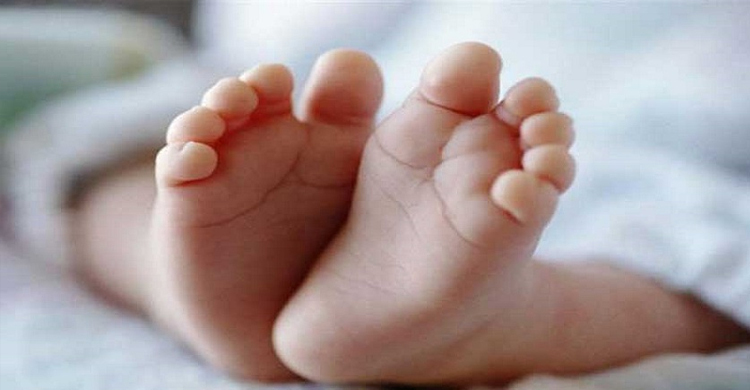 ব্রাহ্মণবাড়িয়ায় ডাস্টবিনে মিলল নবজাতকের মরদেহ