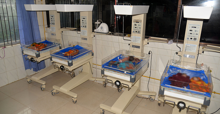 একসঙ্গে ৫ সন্তান প্রসব, একে একে মারা গেলো সবাই