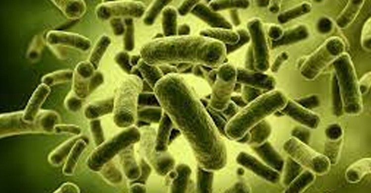 যশোরে বেশিরভাগ চায়ের দোকান-হোটেল-রেস্তোরাঁর পানিতে অণুজীব শনাক্ত