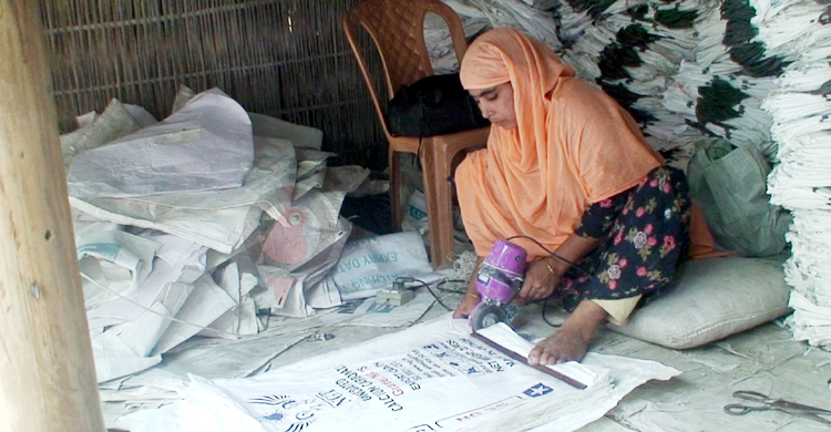 একসময় অন্যের বাড়িতে কাজ করা সাদিনার ঘুরে দাঁড়ানোর গল্প