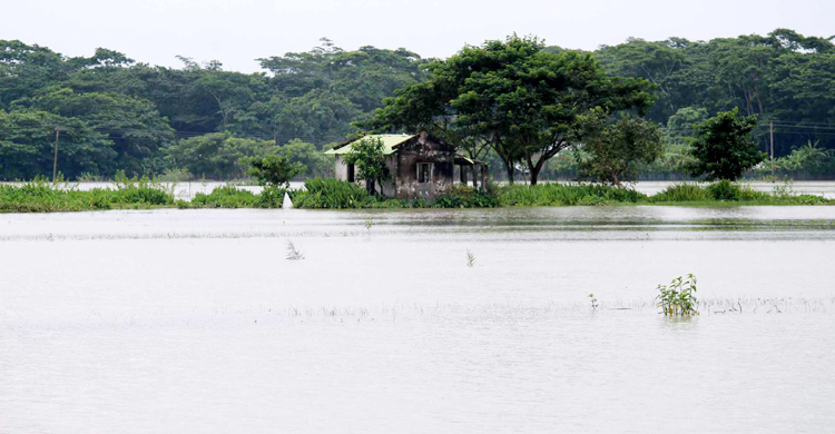 শরণখোলায় পানিবন্দি ৬০ হাজার মানুষ