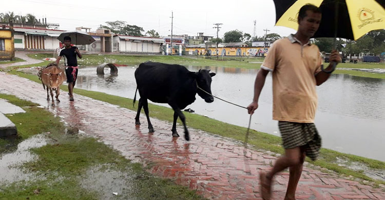 Bagerhat.--Saycolon-(1)