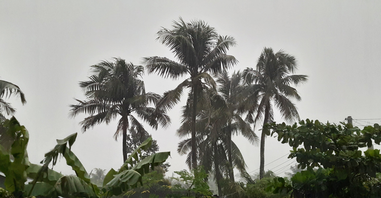 মোংলায় দুই ঘণ্টায় ৩০ মিলিমিটার বৃষ্টিপাত
