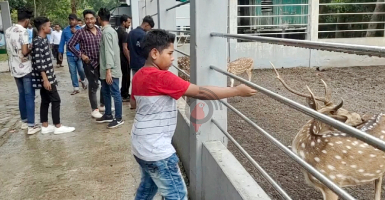 পদ্মা সেতুর সুফল পেতে শুরু করেছে বাগেরহাটবাসী
