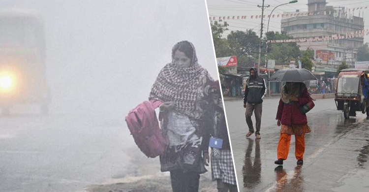 শৈত্যপ্রবাহমুক্ত দেশ, ৪ বিভাগে হতে পারে বৃষ্টি