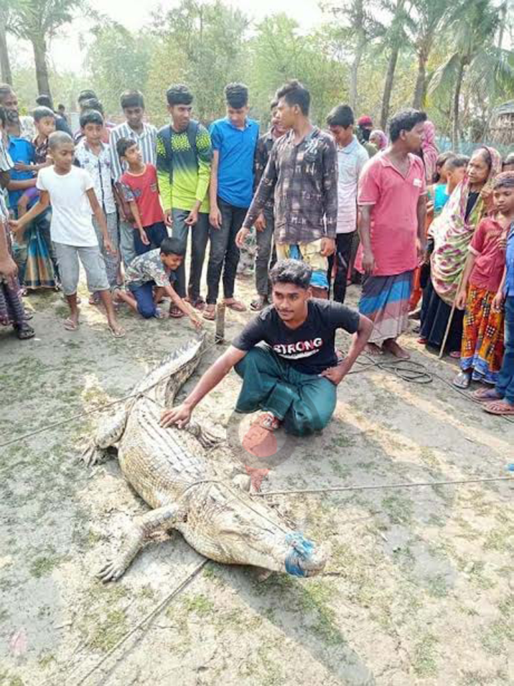 Bagerhat-Kumir-Uddhar2