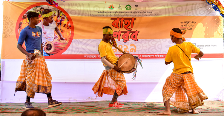 বাহা উৎসবে মাতলো গোবিন্দগঞ্জের সাঁওতালপল্লী