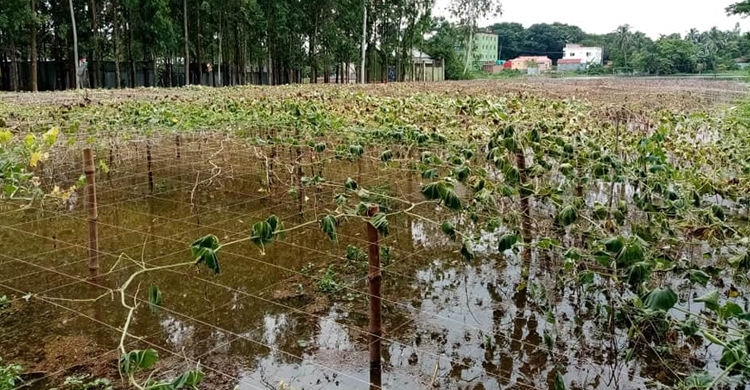 ভৈরবে বাড়ছে পানি বাড়ছে আতঙ্ক