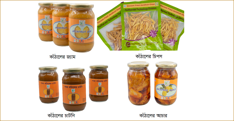 কাঁঠাল থেকে হবে জ্যাম-চাটনি-চিপসসহ ১২ পণ্য