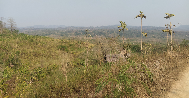 বান্দরবানে তরুণকে অপহরণ করে ৩ লাখ টাকা মুক্তিপণ দাবি