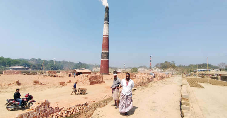বন্ধ করে দেওয়ার পর ফের সচল বান্দরবানের ১৪ ইটভাটা