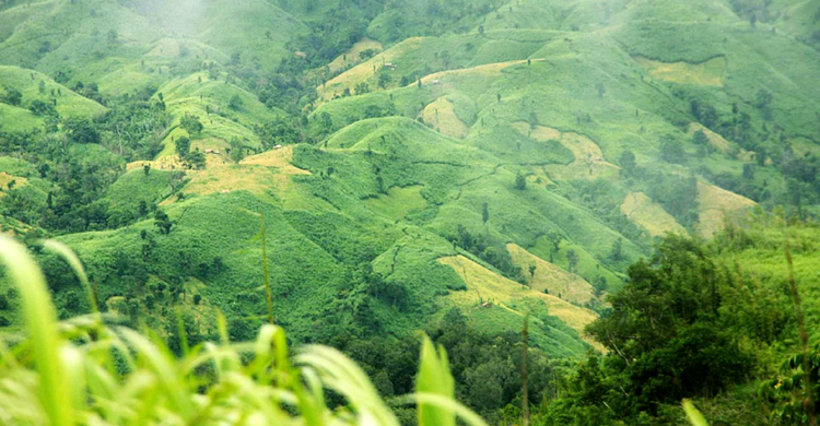 সবুজ বান্দরবান লাল হচ্ছে রক্তে, দুই মাসে ১৮ হত্যাকাণ্ড