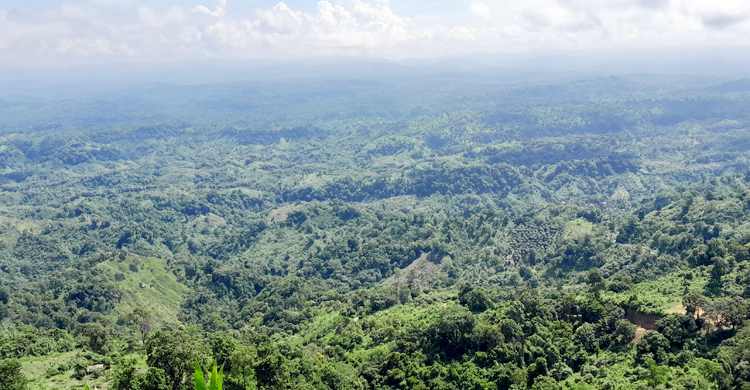 বান্দরবানে দুই সশস্ত্র গ্রুপের মধ্যে গোলাগুলি