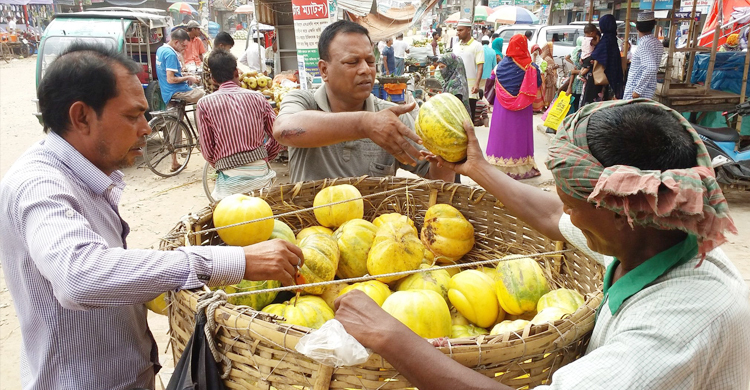 সাধ্যের ফল বাঙ্গি
