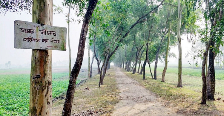 ২১ ঘণ্টা পর সেই পুলিশ সদস্যকে ফেরত দিল বিএসএফ