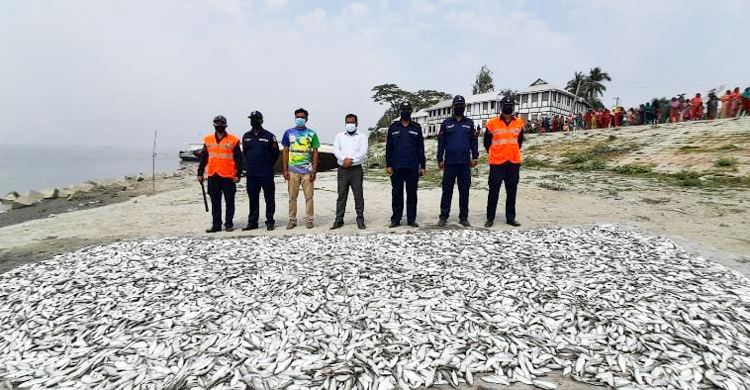 লৌহজংয়ে স্পিডবোটসহ ৪৯ মণ জাটকা জব্দ