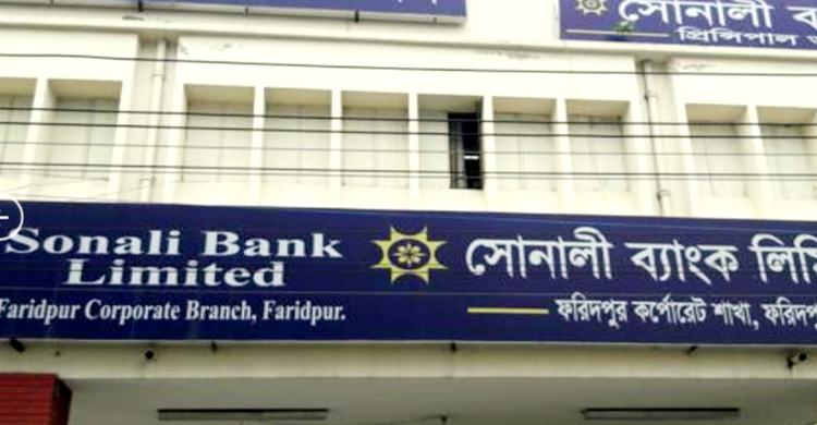 ফরিদপুরে ব্যাংক থেকে শিক্ষিকার ১০ লাখ টাকা চুরি