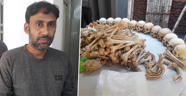 ১২টি মাথার খুলি ও দুই বস্তা হাড় উদ্ধার: তিন দিনের রিমান্ডে বাপ্পী