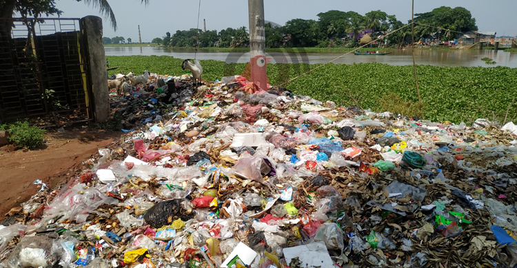 তিতাসপাড়ে পৌরসভার ময়লার ভাগাড়, দুর্গন্ধ ছড়াচ্ছে ক্লিনিকের ভেতর