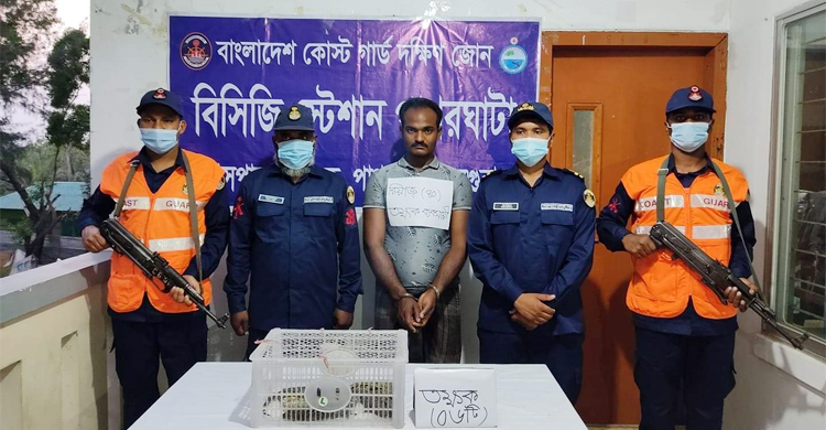 পাথরঘাটায় ৬ তক্ষকসহ ব্যবসায়ী আটক