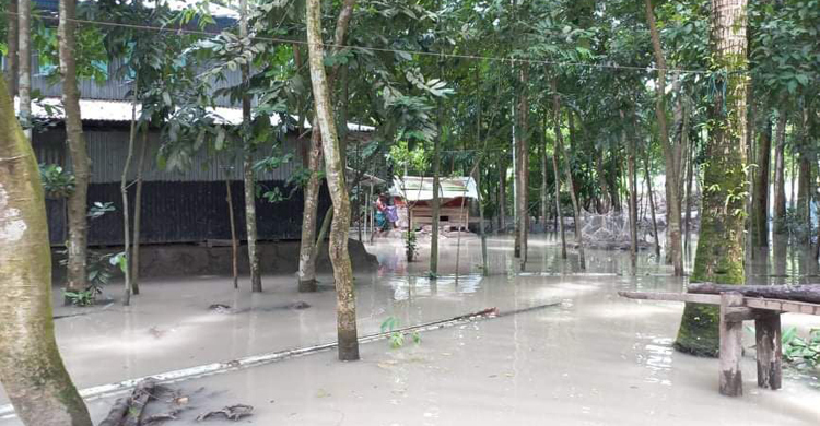 বরগুনায় বিপৎসীমার ওপরে নদীর পানি, তলিয়ে গেছে নিম্নাঞ্চল