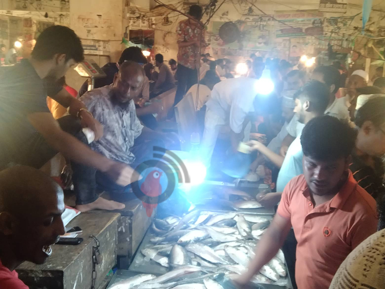 বরগুনায় মাইকিং করে বিক্রি হচ্ছে ইলিশ