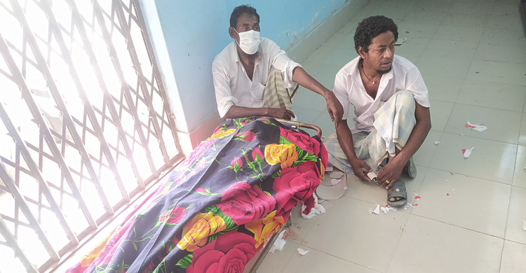 বরগুনায় টমটম উল্টে প্রাণ হারাল চালক