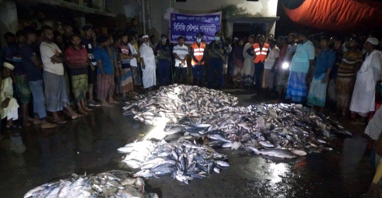নিষেধাজ্ঞা অমান্য করে মাছ শিকার, দুই ট্রলার মালিককে জরিমানা