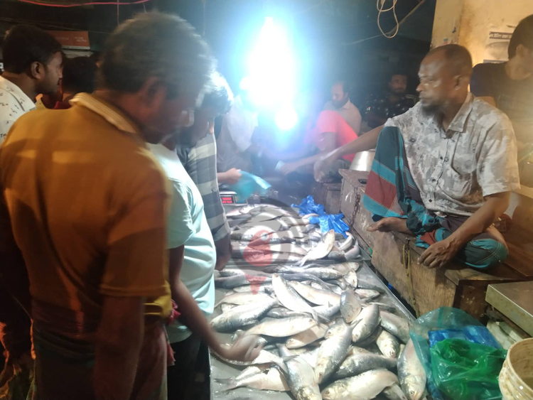 বরগুনায় মাইকিং করে বিক্রি হচ্ছে ইলিশ