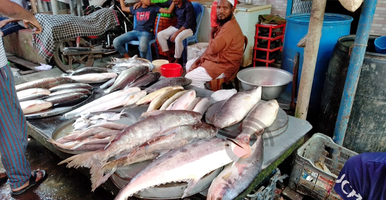 বরিশালে চড়া মাছের বাজার, দাম কমেছে আলুর