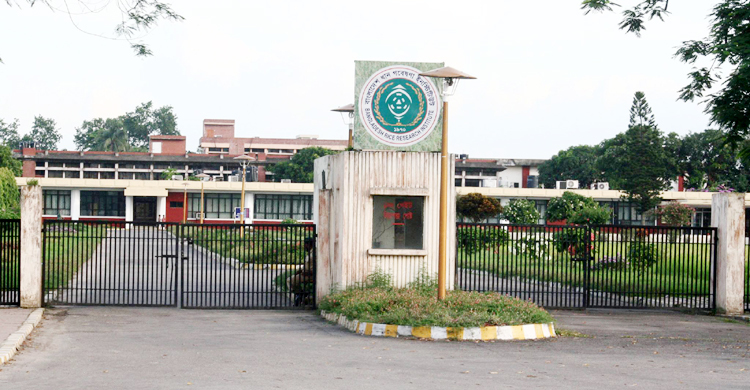 ৫০ বছরে ১০৬ জাতের ধান উদ্ভাবন ব্রির