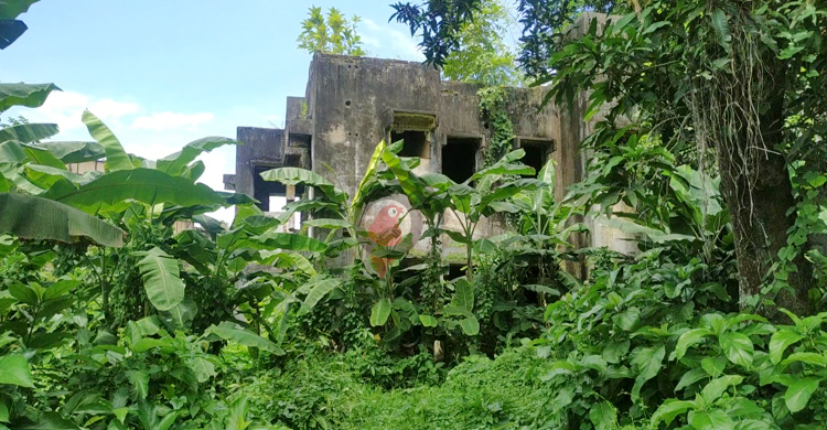 জঙ্গলে পরিণত হয়েছে সরকারি কোয়ার্টার