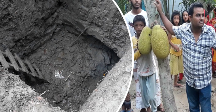 ‘স্বপ্নে দেখা গুপ্তধন’ খুঁজতে গিয়ে এখন পালিয়ে বেড়াচ্ছেন ইউনুস