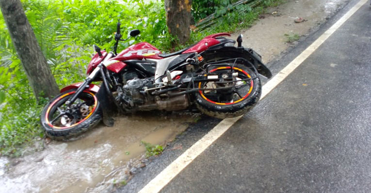 গাছের সঙ্গে মোটরসাইকেলের ধাক্কায় ২ ভাইয়ের মৃত্যু