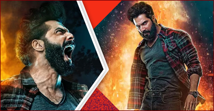 মুক্তির একদিন পরেই ফাঁস হয়েছে বরুণ ধাওয়ানের সিনেমা ‘ভেদিয়া’